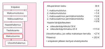 Kaavio maksamattoman laskun käsittelystä: Laskun eräpäivän jälkeen seuraa kaksi maksumuistutusta (5 € kumpikin), kaksi maksuvaatimusta perintätoimistolta (14 € ja 7 €), haaste käräjäoikeuteen, oikeudenkäyntikulut (50 € ja 65 €), tiedoksianto, maksutuomio ja lopuksi ulosottomaksu (27 €), jonka jälkeen lasku siirtyy ulosottoon. Esimerkkilaskelmassa alkuperäinen lasku (30 €) kasvaa lisäkuluilla yhteensä 203 euroon. Lisäksi eräpäivän jälkeen kertyy viivästyskorkoa.