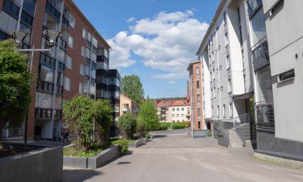 Kerrostaloja ja vihreitä pensaita rauhallisella kadulla kirkkaassa päivänvalossa.